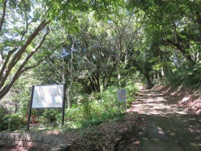haikinguko-su