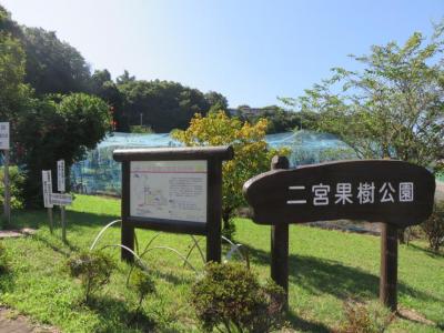 kajyukoueniriguchi