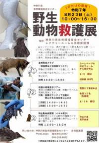 野生動物救護展ポスター