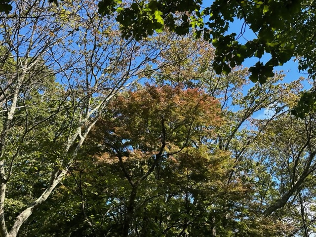 令和5年9月18日陣馬山山頂