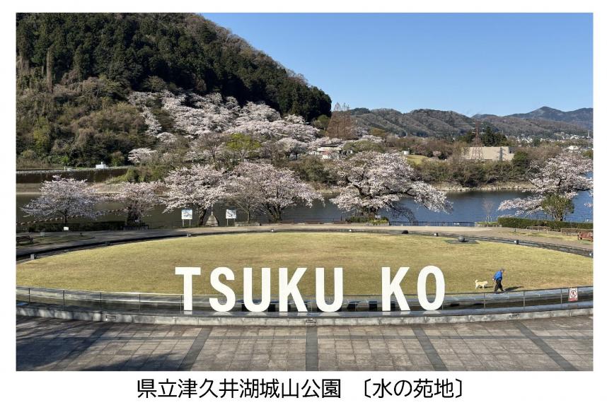 津久井湖城山公園