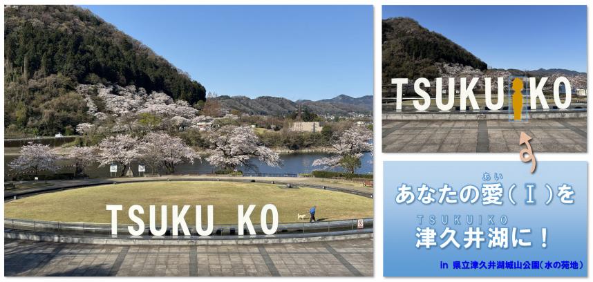 TSUKUIKOオブジェ画像