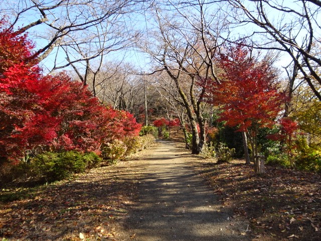 1207弘法山　馬場道周辺