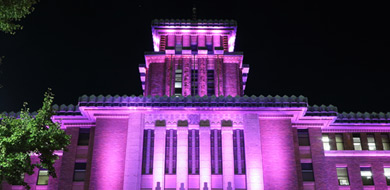 ピンクライトアップ