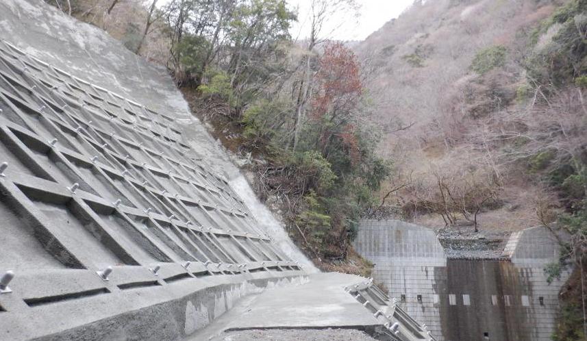 菩提沢（法面）4