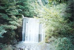 用木沢えん堤