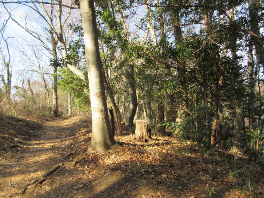 吾妻山から次の山へ向かう道