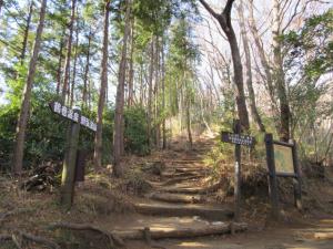 弘法山方面大山方面分岐点