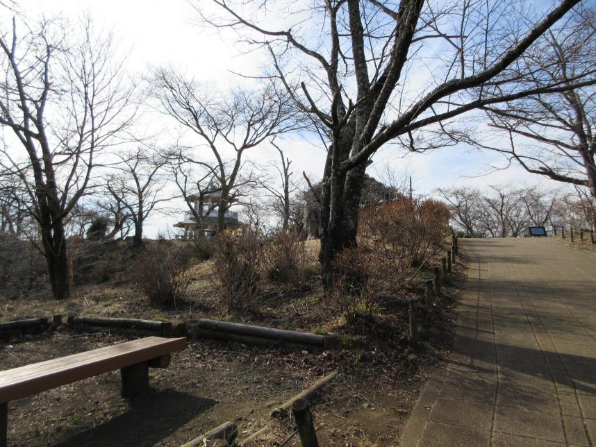 目的地の弘法山公園