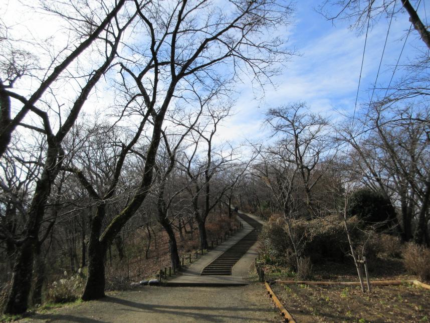 目的地までの階段