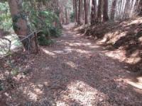 ずっとこんな山道