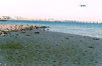 京浜島つばさ公園