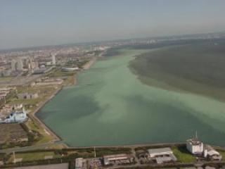 青潮1