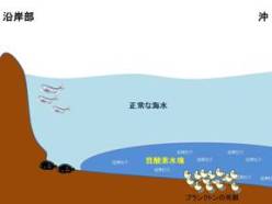 青潮2