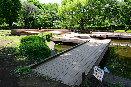相模原北公園の水辺の広場