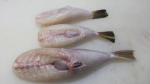 皮が有毒でヒレが残存するふぐの画像