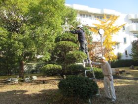 イルミネーション1