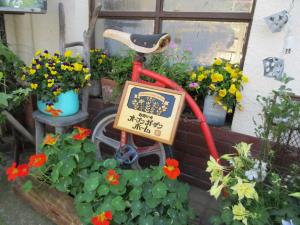 店舗の外にあるお花