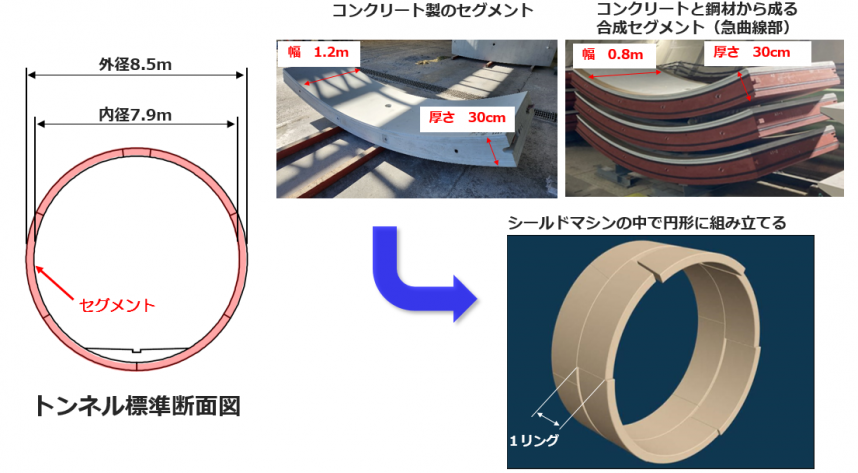 セグメント