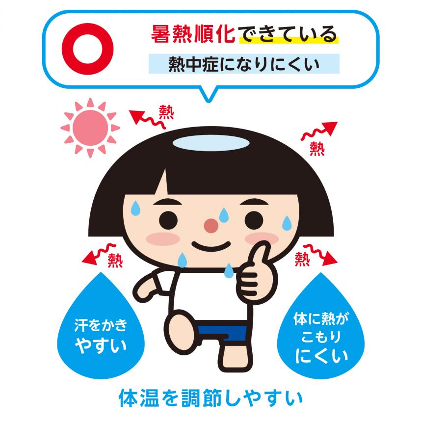 kintaro 