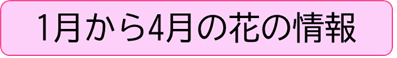 1月から4月の花の情報