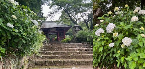 最乗寺