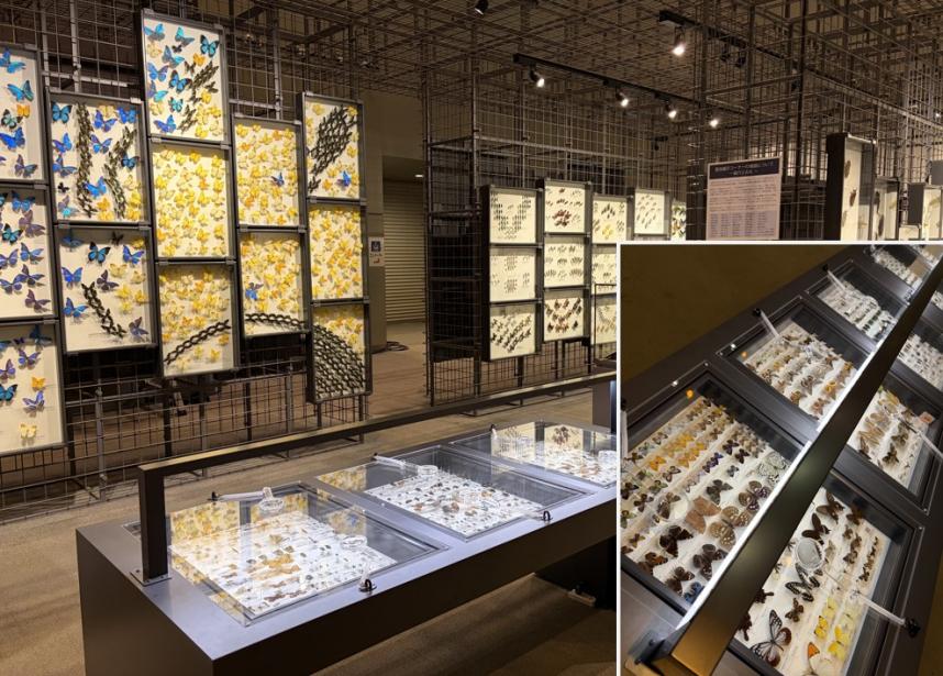 tenji_kanagawa-museum