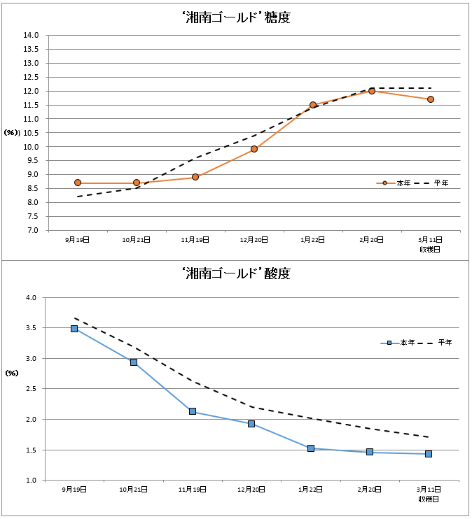 湘南ゴールド品質