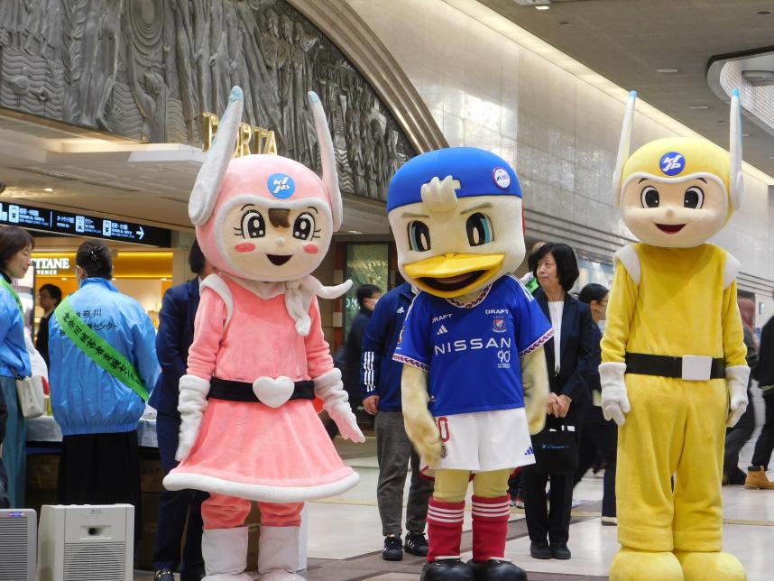 R6マリノス