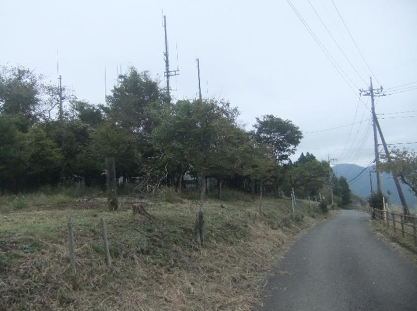 10月26日大野山山頂色づき始め