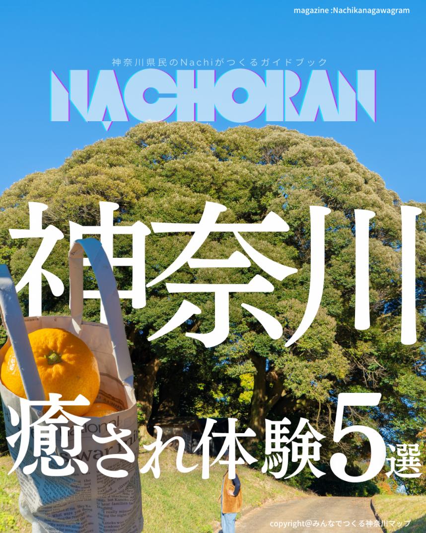 nachi
