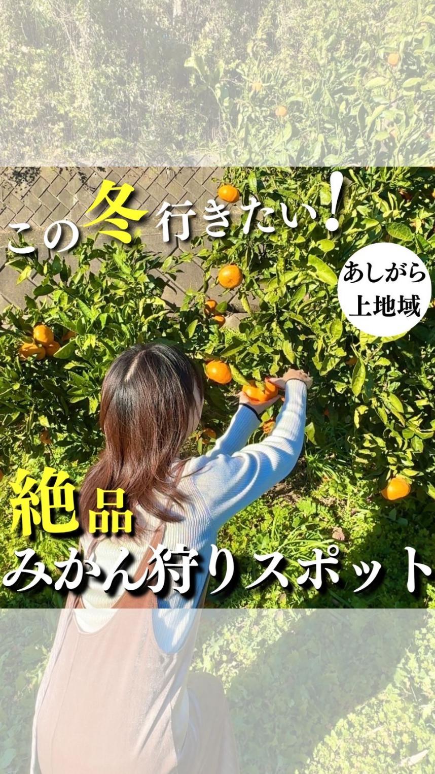 yumireel