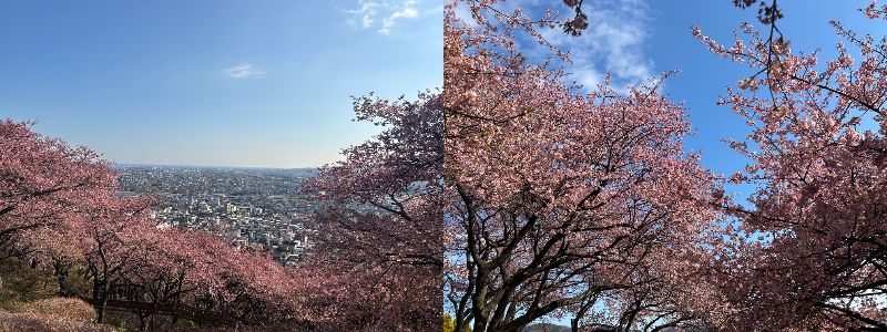 西平畑公園