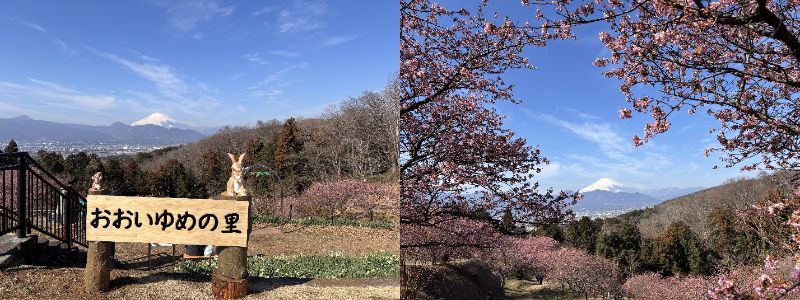おおいゆめの里