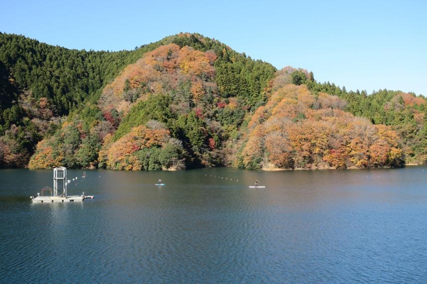 1201miyagaseko_aoki