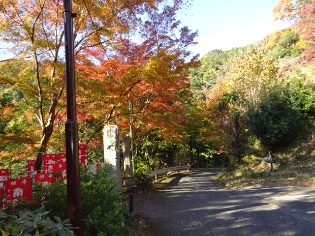 1204hinatayakushi_arakawa