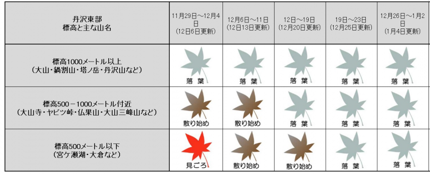 1月4日紅葉記録表