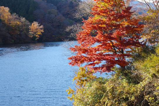 宮ヶ瀬湖