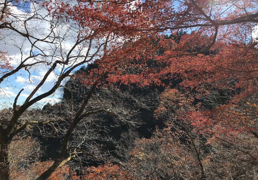 ヤビツ峠周辺