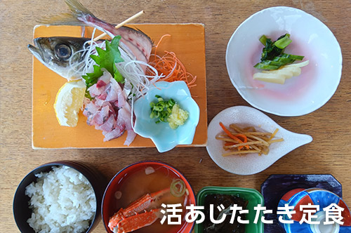 活あじたたき定食付きコースの写真