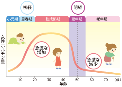 図：女性ホルモン量と年齢の関係