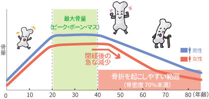 図：骨量と年齢の関係