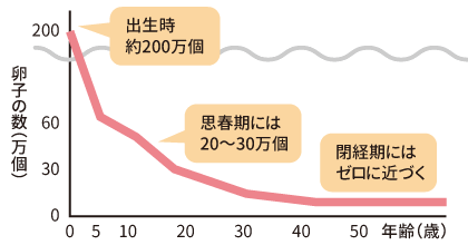グラフ：女性の各年齢における卵子の数の変化