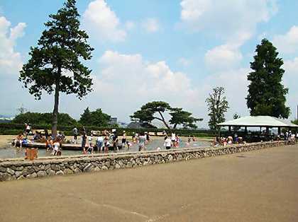 ぼうさいの丘公園 遊びの池