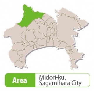 Kanagawa Prefectural Tsukuiko-Shiroyama Park