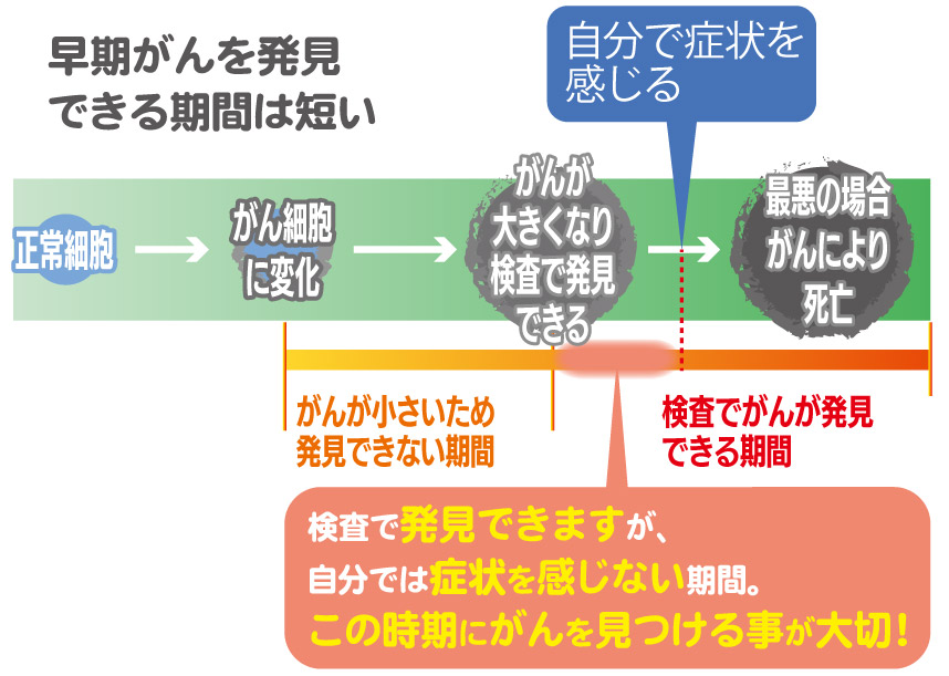 図：早期がんを発見できる期間は短い