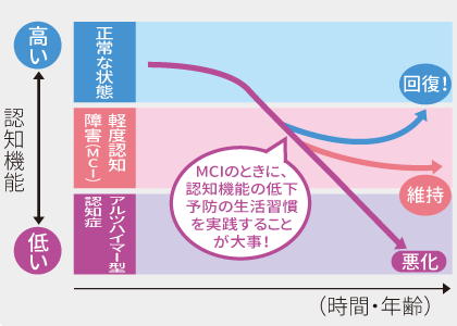 認知機能の低下のイメージ画像