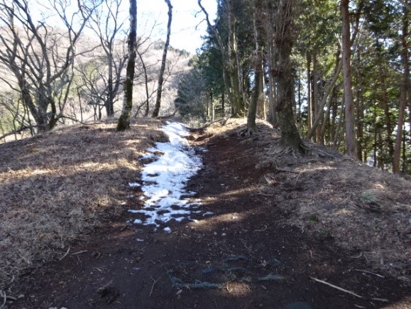 イタツミ尾根　標高約850メートル