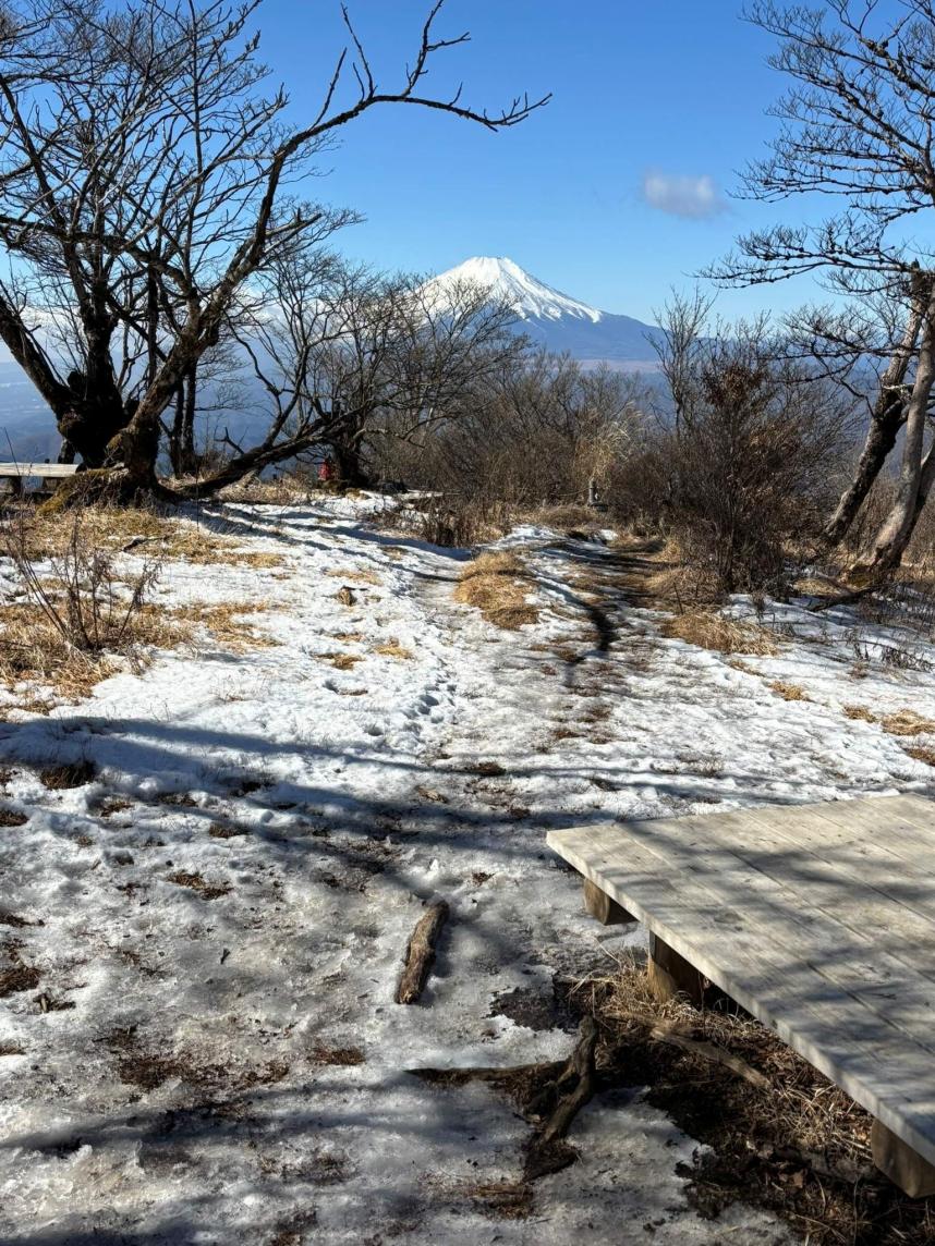檜洞丸山頂の積雪