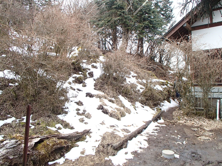 大山山頂周辺